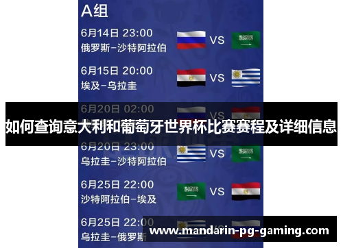 如何查询意大利和葡萄牙世界杯比赛赛程及详细信息