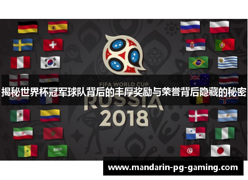 揭秘世界杯冠军球队背后的丰厚奖励与荣誉背后隐藏的秘密