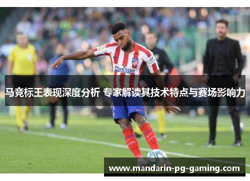 马竞标王表现深度分析 专家解读其技术特点与赛场影响力