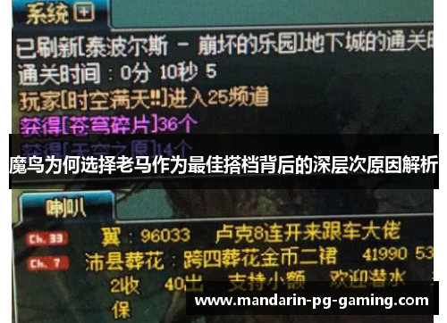 魔鸟为何选择老马作为最佳搭档背后的深层次原因解析