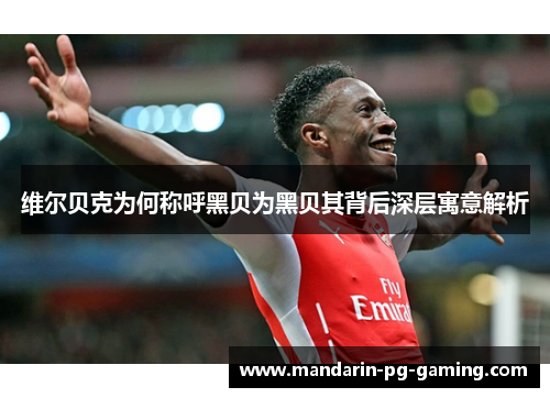 维尔贝克为何称呼黑贝为黑贝其背后深层寓意解析