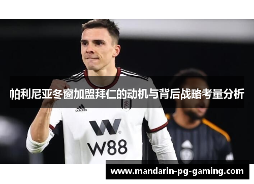 帕利尼亚冬窗加盟拜仁的动机与背后战略考量分析